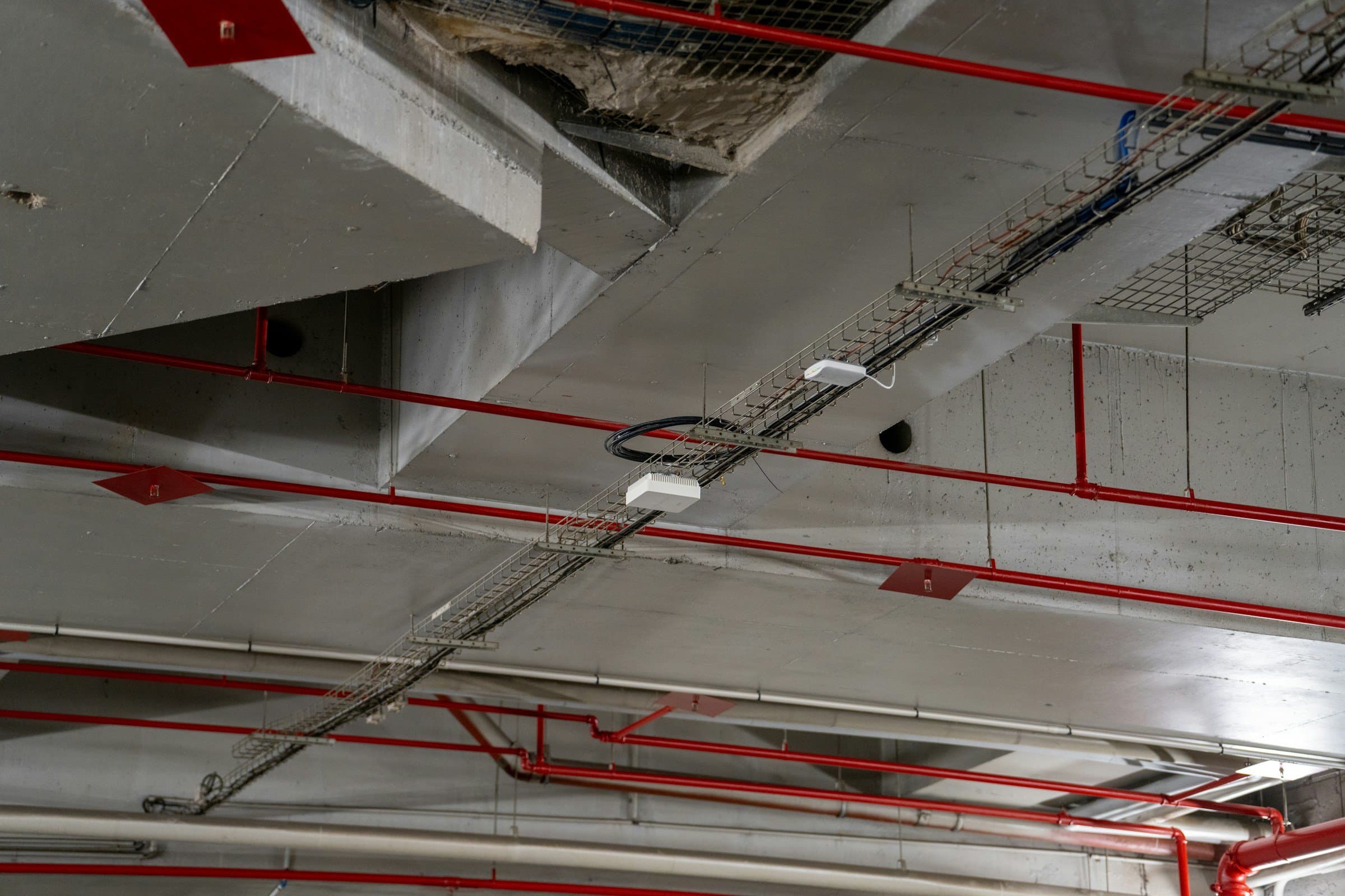 Red sprinkler mains and branch lines run under a concrete ceiling.